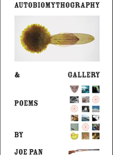 Autobiomythography & Gallery by Joe Pan
