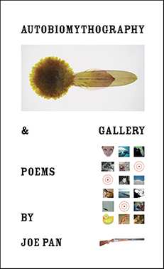 Joe-Pan-Autobiomythography-Gallery